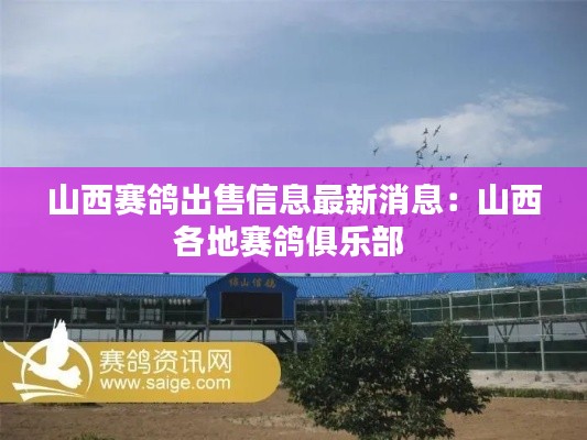 山西賽鴿出售信息最新消息:山西各地賽鴿俱樂部