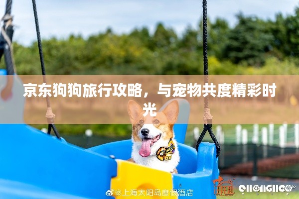 京東狗狗旅行攻略，與寵物共度精彩時光