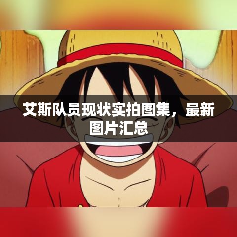 艾斯隊員現狀實拍圖集，最新圖片匯總