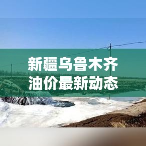 新疆烏魯木齊油價最新動態(tài)及分析報告