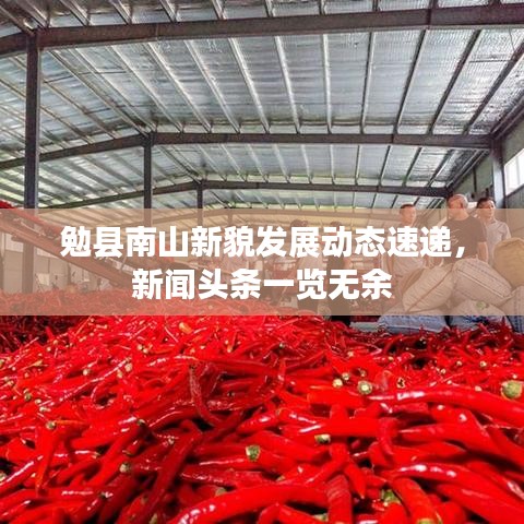 勉縣南山新貌發(fā)展動(dòng)態(tài)速遞,新聞?lì)^條一覽無余