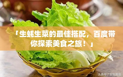 「生蠔生菜的最佳搭配，百度帶你探索美食之旅！」