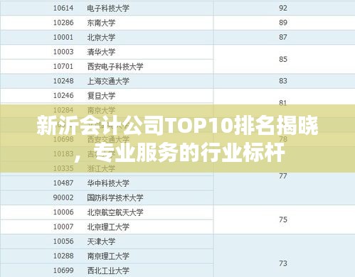 新沂會(huì)計(jì)公司TOP10排名揭曉,專業(yè)服務(wù)的行業(yè)標(biāo)桿
