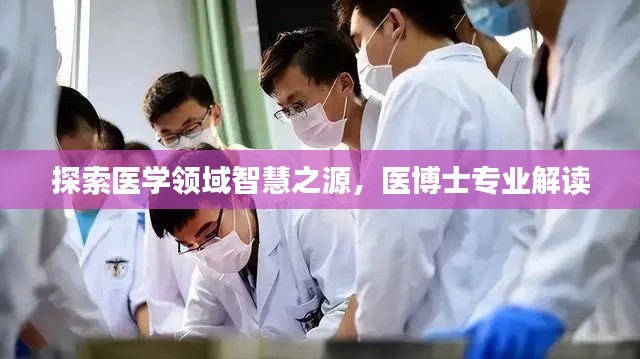 探索醫學領域智慧之源,醫博士專業解讀