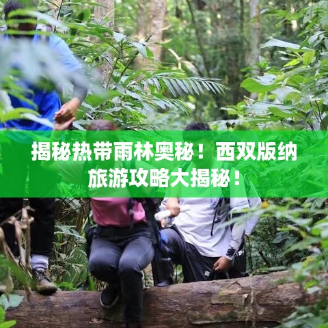 揭秘熱帶雨林奧秘！西雙版納旅游攻略大揭秘！