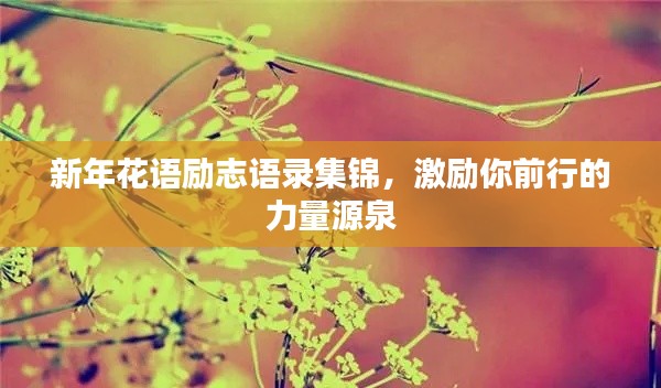 新年花語勵志語錄集錦,激勵你前行的力量源泉