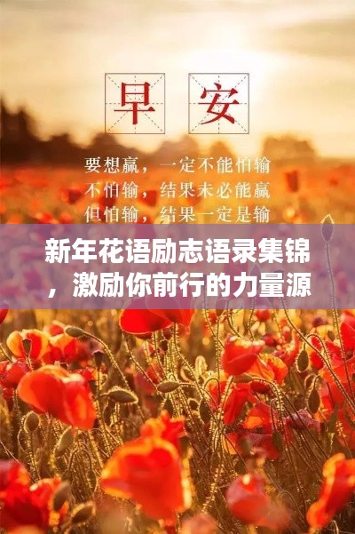新年花語勵志語錄集錦,激勵你前行的力量源泉