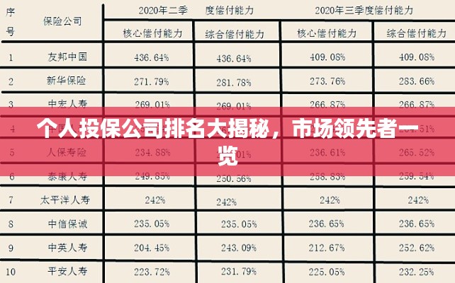 個人投保公司排名大揭秘,市場領先者一覽