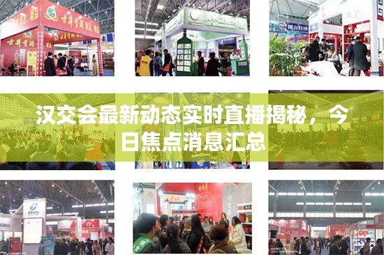 漢交會最新動態實時直播揭秘，今日焦點消息匯總