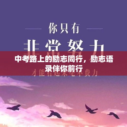 中考路上的勵(lì)志同行，勵(lì)志語錄伴你前行