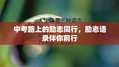 中考路上的勵志同行,勵志語錄伴你前行