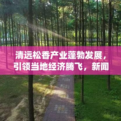 清遠松香產業蓬勃發展,引領當地經濟騰飛,新聞頭條揭秘松香魅力