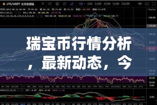 瑞寶幣行情分析，最新動態，今日走勢一網打盡！