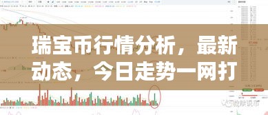 瑞寶幣行情分析,最新動態,今日走勢一網打盡!