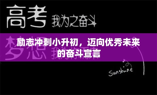 勵志沖刺小升初,邁向優秀未來的奮斗宣言