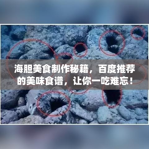 海膽美食制作秘籍，百度推薦的美味食譜，讓你一吃難忘！