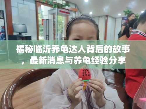 揭秘臨沂養(yǎng)龜達人背后的故事，最新消息與養(yǎng)龜經(jīng)驗分享