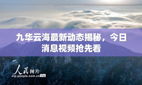 九華云海最新動態揭秘,今日消息視頻搶先看