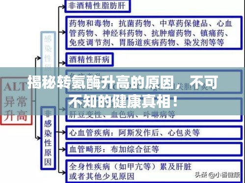 揭秘轉氨酶升高的原因，不可不知的健康真相！