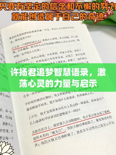 許揚君追夢智慧語錄,激蕩心靈的力量與啟示