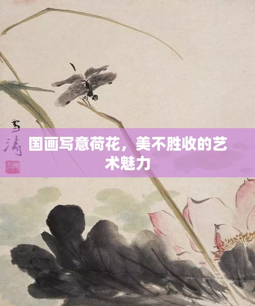 國畫寫意荷花，美不勝收的藝術魅力