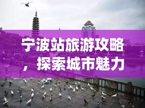 寧波站旅游攻略,探索城市魅力必覽!