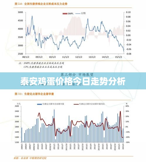泰安雞蛋價格今日走勢分析