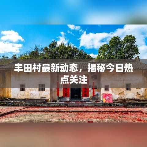 豐田村最新動態,揭秘今日熱點關注