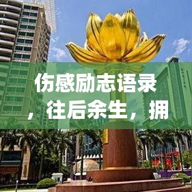 傷感勵志語錄,往后余生,擁抱希望,勇敢前行