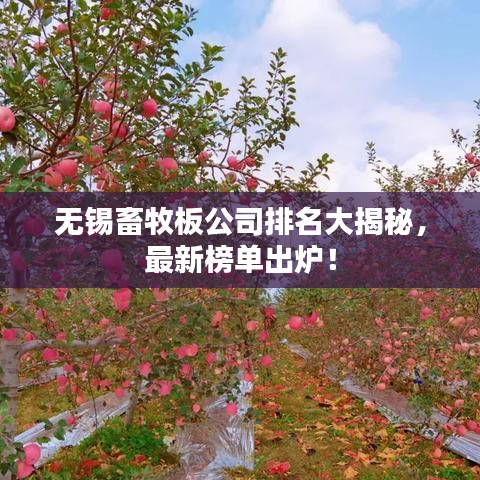 無錫畜牧板公司排名大揭秘，最新榜單出爐！