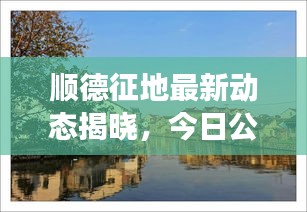 順德征地最新動(dòng)態(tài)揭曉,今日公告刷新征地進(jìn)展!