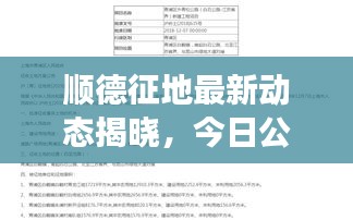 順德征地最新動態揭曉,今日公告刷新征地進展!
