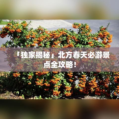 「獨家揭秘」北方春天必游景點全攻略!