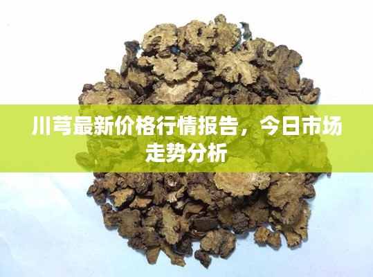 草草收兵 第3頁