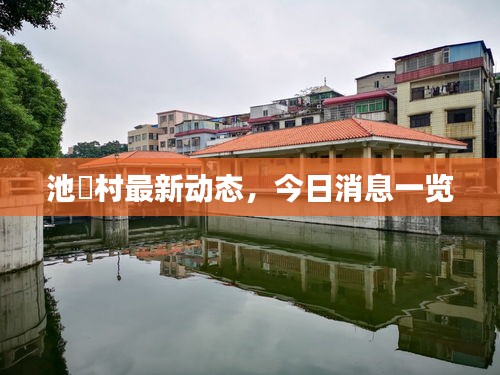 池滘村最新動態，今日消息一覽