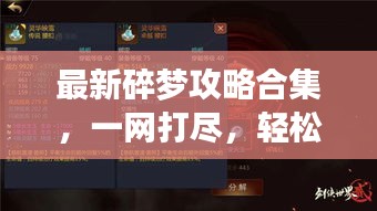 最新碎夢攻略合集，一網打盡，輕松掌握游戲技巧！