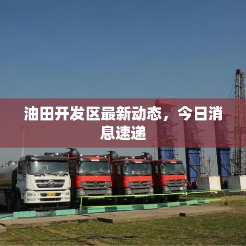 油田開發區最新動態,今日消息速遞