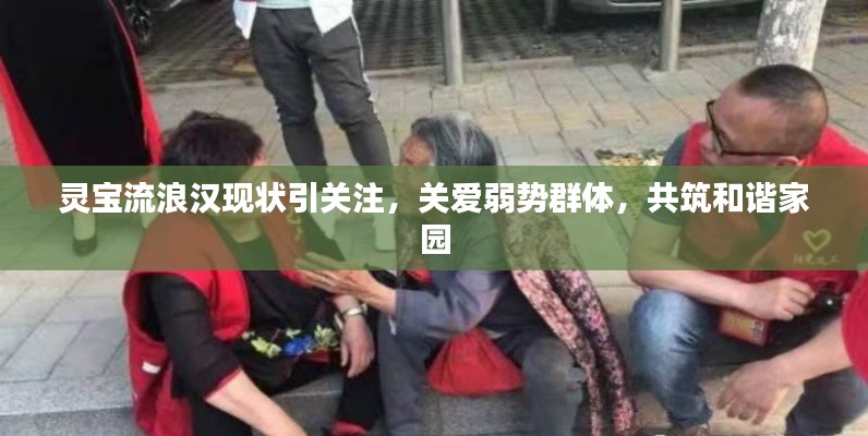 靈寶流浪漢現狀引關注，關愛弱勢群體，共筑和諧家園