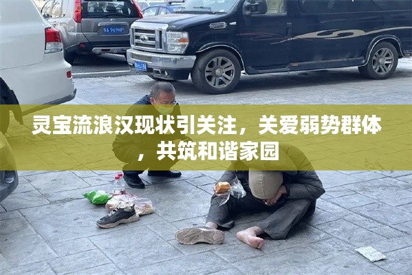 靈寶流浪漢現狀引關注,關愛弱勢群體,共筑和諧家園