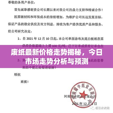 廢紙最新價格走勢揭秘,今日市場走勢分析與預測