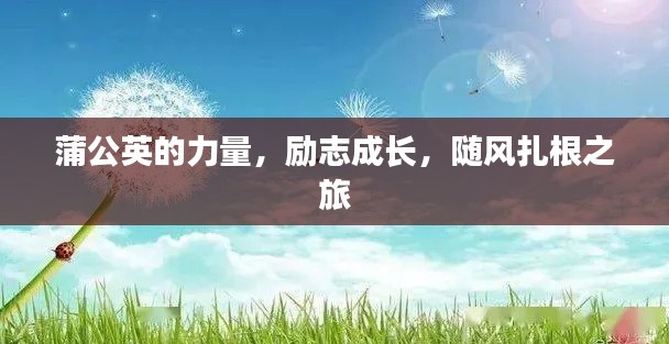 蒲公英的力量,勵(lì)志成長(zhǎng),隨風(fēng)扎根之旅