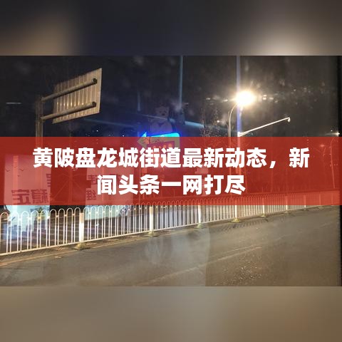 黃陂盤龍城街道最新動態，新聞頭條一網打盡