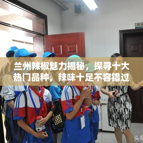 蘭州辣椒魅力揭秘,探尋十大熱門品種,辣味十足不容錯過