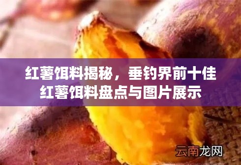 紅薯餌料揭秘,垂釣界前十佳紅薯餌料盤點與圖片展示