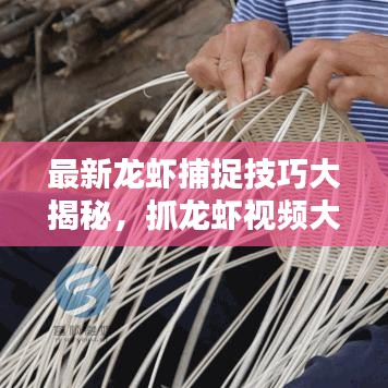 最新龍蝦捕捉技巧大揭秘，抓龍蝦視頻大全，體驗樂趣無限！