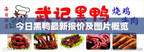 今日黑鴨最新報價及圖片概覽