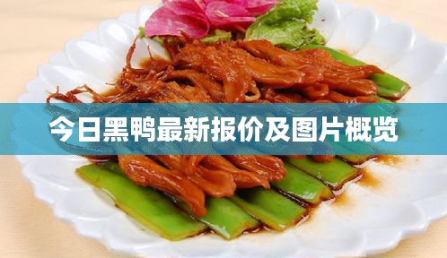 今日黑鴨最新報價及圖片概覽