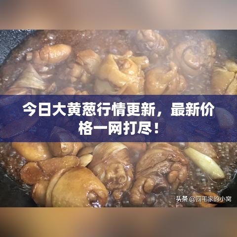 今日大黃蔥行情更新,最新價格一網打盡!