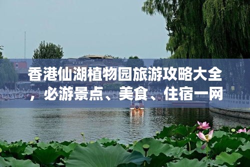 香港仙湖植物園旅游攻略大全，必游景點、美食、住宿一網打盡！