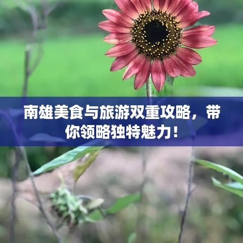 南雄美食與旅游雙重攻略,帶你領略獨特魅力!